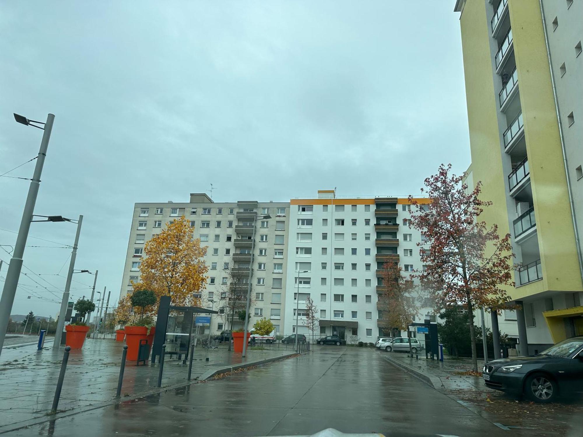 Magnifique Studio Avec Netflix Saint-Louis  Zewnętrze zdjęcie